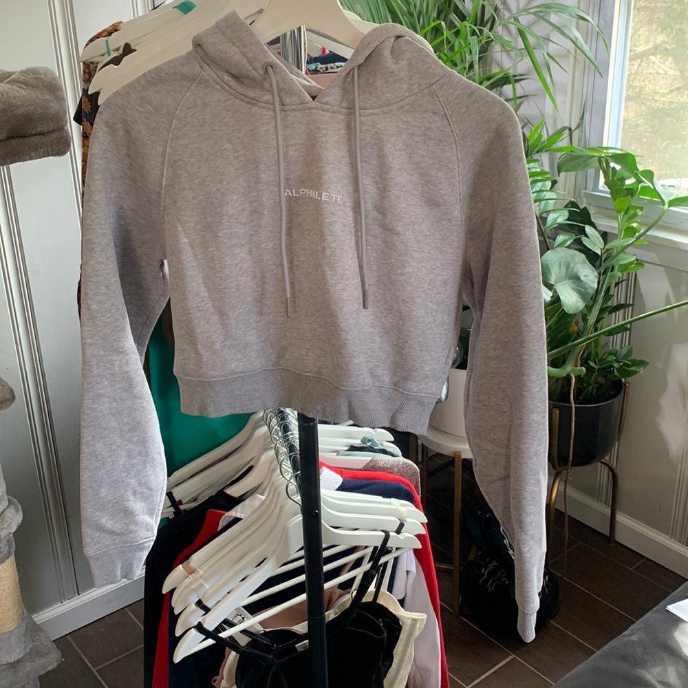 Alphalete grey crop hoodie